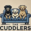 3 dogs on a sofa - Dog walking service in west London