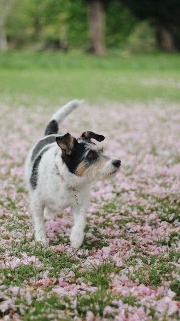 Processed with VSCO with a6 preset