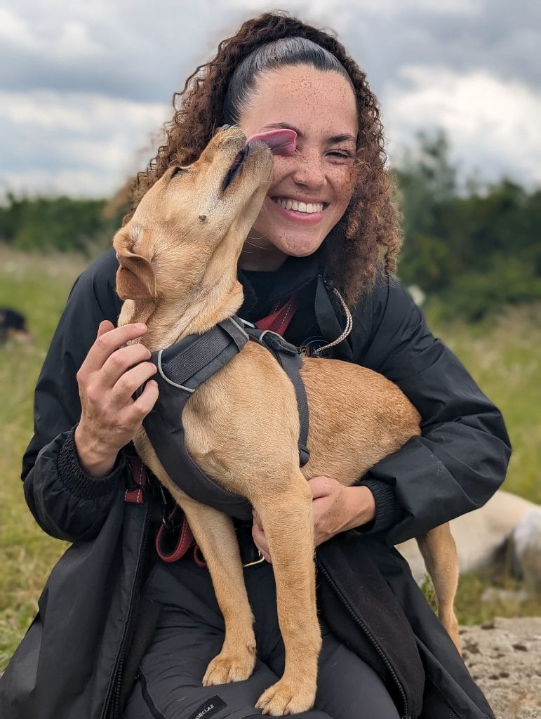 Dog sitter with a dog